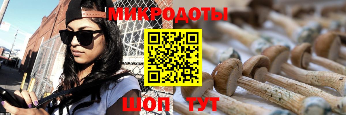 Верхний Уфалей  Галлюциногенные грибы Cubensis  Вход с VPN 